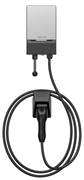 EcoFlow PowerPulse 2